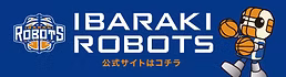robots_banner (1).jpg